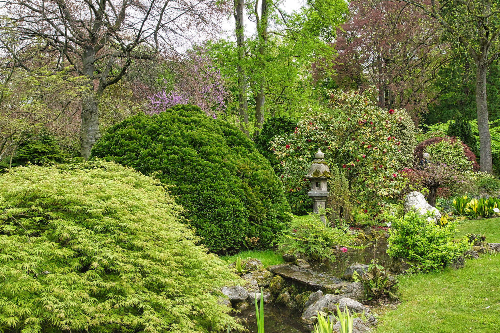 JapGartenLeverkusen 7